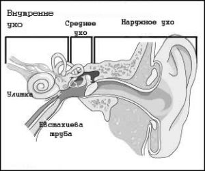 Болезнь Меньера