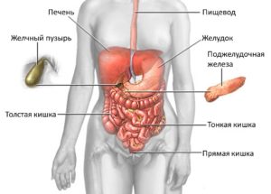 Что такое язва желудка?