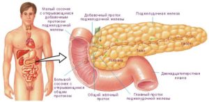 С какой стороны печень у человека? Что с ней происходит при заболевании гепатитом?