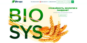 Разработка сайтов B2B: эффективные решения для бизнеса