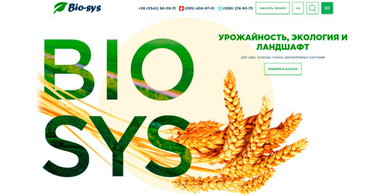 Разработка сайтов B2B: эффективные решения для бизнеса